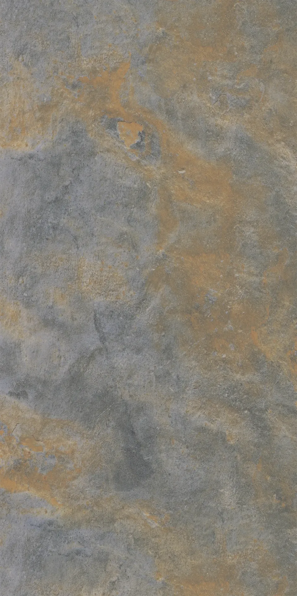 Ardesia rustica